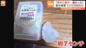 「背中に雹が…」農家のガラス温室や自宅のカーポートが穴だらけ！各地でゲリラ雷雨や雹の被害