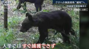 「山に比べてリスク大きい」市街地で出没相次ぐクマ…市街地での猟銃使用“緩和”へ