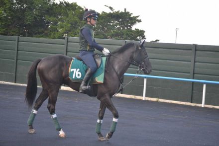 【函館2歳S】新馬好時計ヤンキーバローズ　さらに上積み「体もだいぶ締まっていい感じ」