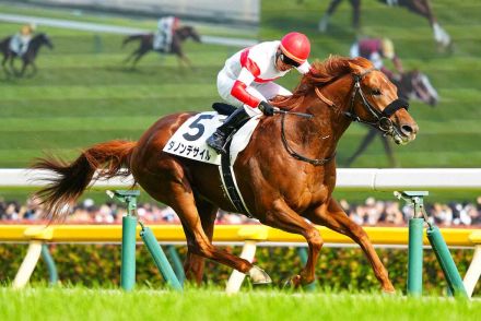 ダービー馬ダノンデサイル　菊花賞直行へ!安田師「今後のローテを見据えた上で」