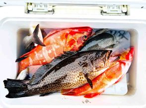 【魚影の濃さヤバ！】伊豆半島随一の釣り場で〝持ち帰る最大魚の重量〟を競って仲間と勝負！