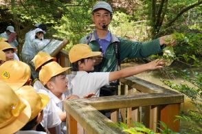 泡状の卵塊「ふわふわや」　モリアオガエルを観察　高校生と小学生が生態学ぶ／兵庫・丹波篠山市