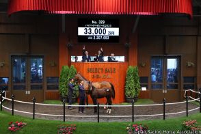 【セレクトセール】３冠馬の好敵手・サリオス初年度産駒ベルスリーブの24は3800万円