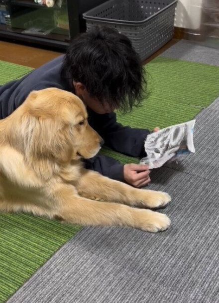 お兄ちゃんが読む漫画をのぞき込む大型犬　そばに寄り添う姿がほほえましい！