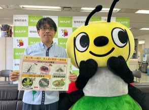 「その植物、ちょっとまって！」　県外持ち出し禁止を周知へ　那覇防疫事務所　沖縄