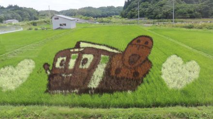 秋田内陸線沿線の田んぼアート見頃　かわいらしいキャラクターが乗客の目を楽しませる