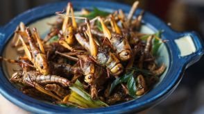 シンガポール食品庁、人間の食料用に１６種の昆虫を認可