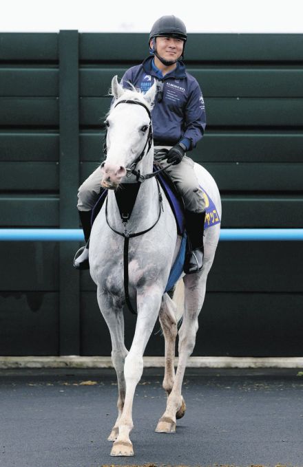 白毛馬ハヤヤッコ、２年ぶりの函館記念Ｖで古豪健在アピールだ　３年連続の参戦で滞在も慣れっこ【競馬】