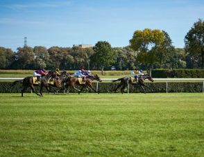 日本馬はG1制覇も故障で引退も…「無敗の名馬」色褪せぬ輝き！海外で奇跡的な強さ誇った馬は