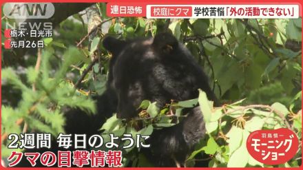 恐怖！クマ出没急増　人気観光地・日光に異変…学校の苦労　市街地での猟銃使用緩和へ