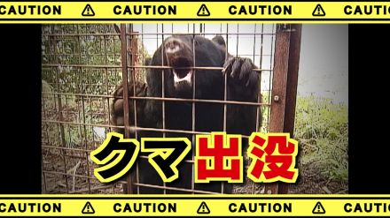 下校途中の中学生2人がクマのような動物を目撃　ヤブをうろうろ　付近ではクマ目撃相次ぐ　山梨・北杜市