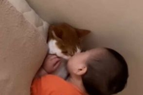 ゼロ歳児の「まさに猫可愛がり」な動画に癒される人が続出　「赤ちゃんなりによく見てる」