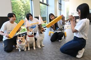 浜名湖への旅、愛犬といかが　浜松の専門学校生が情報発信　ホテル宿泊体験　魅力撮影