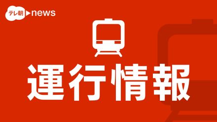 【速報】東北新幹線　盛岡駅～新青森駅までの上下線で運転見合わせ　再開見込み立たず