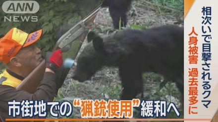 クマの目撃相次ぐ　市街地での猟銃使用緩和へ　過去最多の人身被害…不安要素も