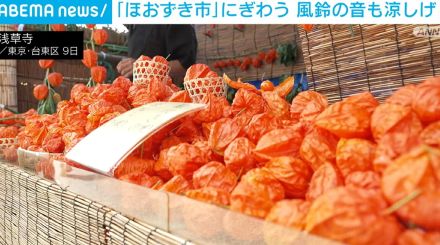 浅草寺で「ほおずき市」始まる 夏の風物詩に賑わう