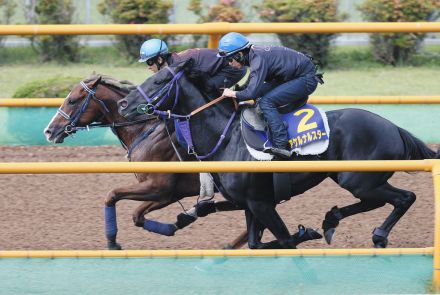 【函館記念追い切り】マイネルクリソーラは馬なりで同入「もう少し4コーナーでさっと反応を」丹内は変わり身に期待