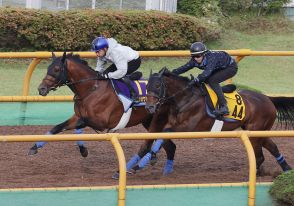 ホウオウビスケッツ大きく追走し２馬身先着、岩田康騎手「ひと回りグッと良くなった」／函館記念