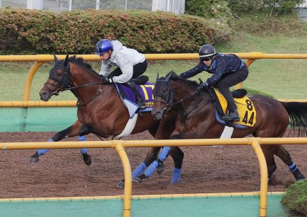 ホウオウビスケッツ大きく追走し２馬身先着、岩田康騎手「ひと回りグッと良くなった」／函館記念