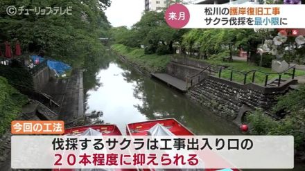 松川べりの復旧工事でサクラが数十本程度の伐採へ　影響は最小限にとどめたい　富山