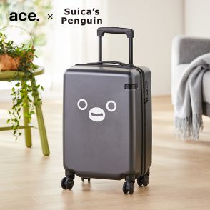 「Suicaのペンギン」スーツケースがかわいい！　ベルメゾンにトラベルグッズ登場