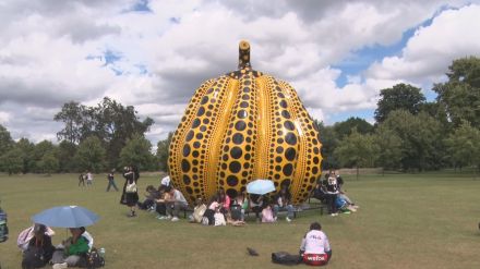 もうハロウィン？ロンドンの公園に巨大カボチャ出現　草間彌生さん作の銅製オブジェ