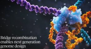 「プログラム可能」な新DNA編集技術　東大などが発表　さまざまな2つのDNAを切って組み換え