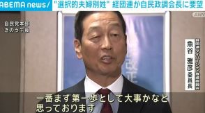 “選択的夫婦別姓”めぐり 経団連が自民政調会長に要望