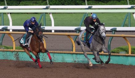 【函館２歳Ｓ　追って一言】エメラヴィ・横山武騎手「チップで動く馬じゃないし、これで十分」