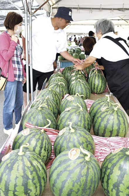 夏本番　すいか村オープン　JA松本ハイランド直売所　長野県松本市