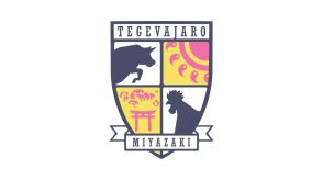 テゲバジャーロ宮崎　J1・ガンバ大阪に惜敗　サッカー天皇杯3回戦
