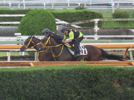 ビヨンドザファザー、マーキュリーC最終追い切り速報/栗東トレセンニュース