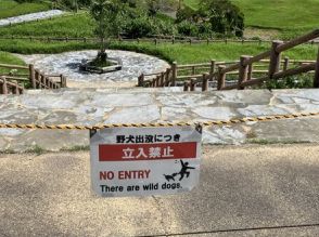 倉敷ダムに野犬数頭 「見かけた場合は近づかないように」　管理所が注意喚起　沖縄