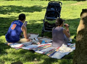 ニューヨークの定番「公園ピクニック」がさらに快適になる、 ピザボックス専用のリサイクルゴミ箱とは?