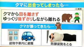 ウサイン・ボルトよりも速い「クマ」 出合わないための対策は? もしも襲ってきたら“防御姿勢”を