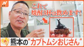 「昆虫を眺めて焼酎3杯飲める」熊本市動植物園の“カブトムシおじさん” 溢れるカブトムシ愛【ゲキ推しさん】