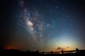 「やんばるくいな座」夜空に羽広げ、天の川で水浴び　沖縄・国頭村が制定、星空観光の推進へ