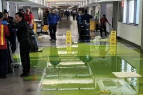 空港の天井から流れ落ちた「緑の液体」。SNSで動画が拡散 米マイアミ国際空港