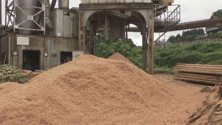 おがくずに埋もれて作業員の男性死亡　石川・金沢市の森林組合工場