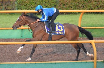 【函館記念】チャックネイト余力十分！3年目佐々木は土日連続重賞騎乗「チャンス取りこぼしたくない」