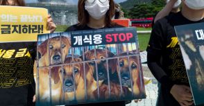 韓国で「犬食」が突如タブーになったワケ…「完全に消えることはない」「地下へと潜るだけ」現地の人は言った