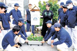 生ゴミ堆肥化で街を緑に　長野県松本市・中町通りとエクセラン高、松本工業高が連携　花の寄せ植え始める