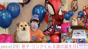 peco、ryuchellさんにそっくりと話題の息子・リンクくん6歳の誕生日の写真を公開