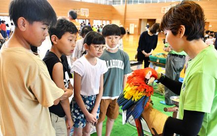 学校にインコがやって来た！　鶴岡市湯野浜小で「移動動物園・お出かけ水族館」