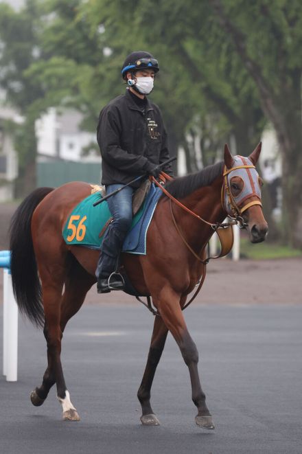 【函館２歳Ｓ】初陣７馬身差Ｖのサトノカルナバルは５枠７番　初戦がノーステッキ完勝のエンドレスサマーは１枠１番　枠順決定