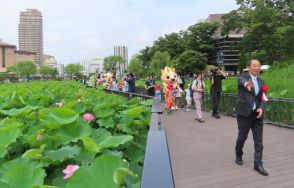 秋田・千秋公園のお堀に遊歩道が完成　身近にハスの花鑑賞が可能に