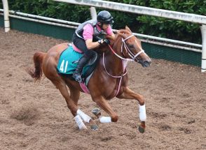 【今週の注目新馬】順調ラヴァブルが初陣だ　全兄にダノンザキッド／土曜小倉５Ｒ