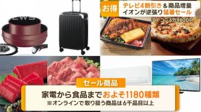 テレビ4割引き＆商品増量　イオンが逆張り「猛暑セール」　エアコン6万9800円