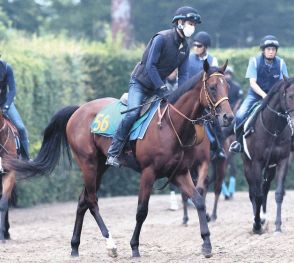 【函館2歳S】枠順決定、東京で圧勝サトノカルナバルは5枠7番、シュヴァルグラン産駒カルプスペルシュは6枠10番