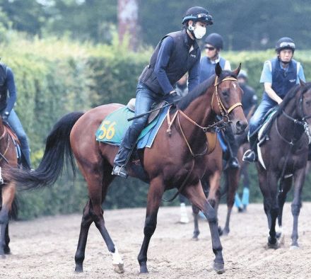 【函館2歳S】枠順決定、東京で圧勝サトノカルナバルは5枠7番、シュヴァルグラン産駒カルプスペルシュは6枠10番